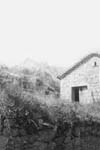 crepon_71_21