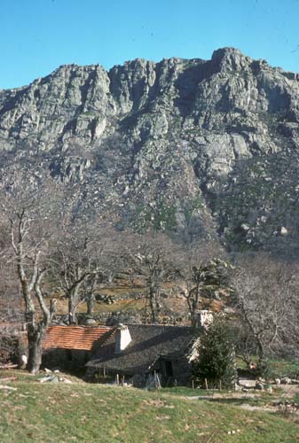plos_7611_maison1