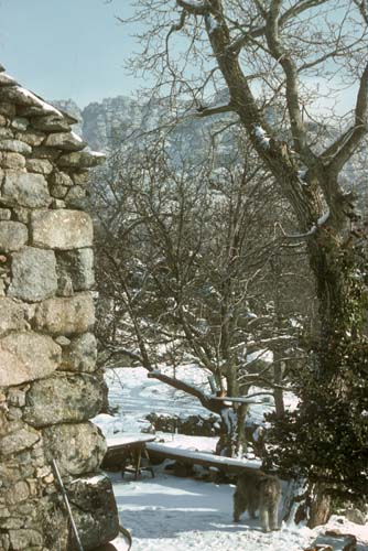 plos_7611_neige03