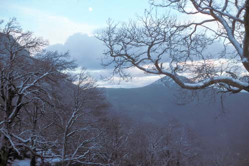 plos_7611_neige04