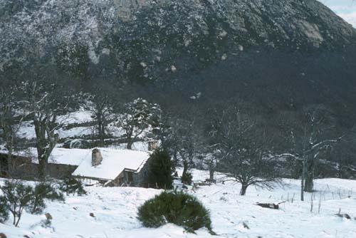 plos_7611_neige05