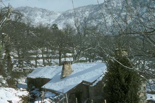 plos_7611_neige06