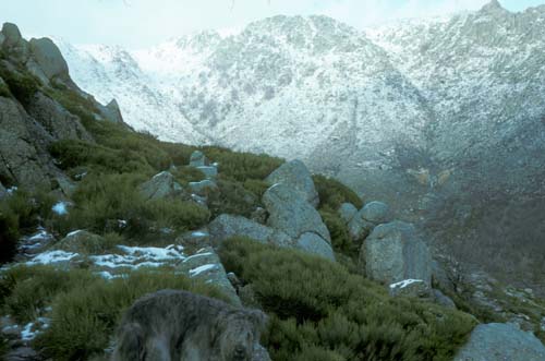 plos_7611_neige07