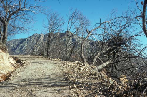 plos_7611_route
