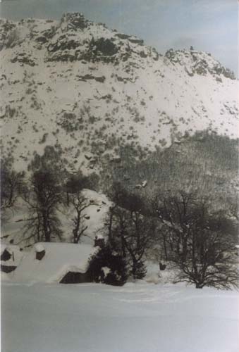 plos_78av_neige1