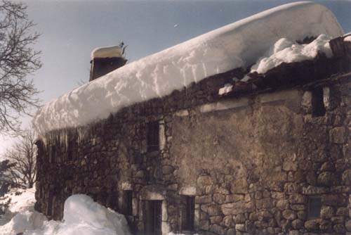 plos_78av_neige2