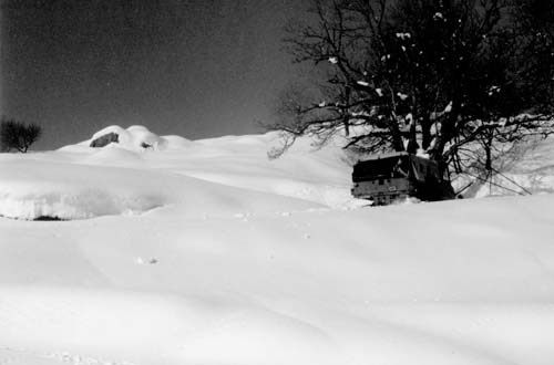 plos_78av_neige3