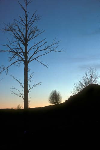 plos_7911_paysagereveil04