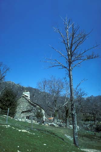 plos_8203_
