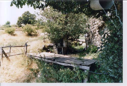 plos_m02_09