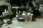 plos_7305_fontaine