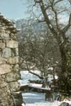 plos_7611_neige03