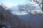 plos_7611_neige04