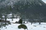 plos_7611_neige05